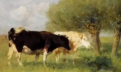 100% Hand Painted two cattle cow Canvas Oil Painting for Home Wall Art by Well Known Artist, Framed, Ready to Hang Review