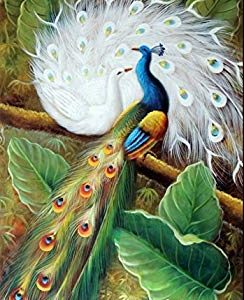 100% Hand Painted Peacocks Birds Garden Landscape Tree Canvas Oil Painting for Home Wall Art by Well Known Artist, Framed, Ready to Hang Review