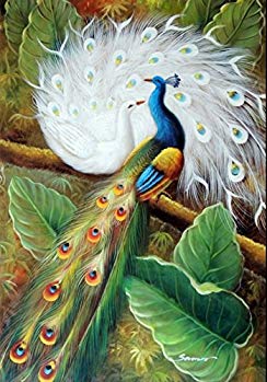 100% Hand Painted Peacocks Birds Garden Landscape Tree Canvas Oil Painting for Home Wall Art by Well Known Artist, Framed, Ready to Hang