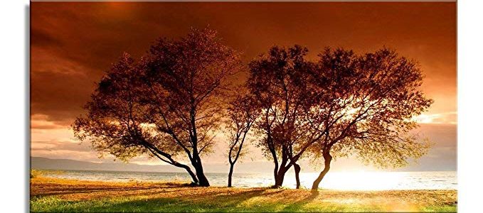 Canvas Wall Art Sun red Tree Modern Painting Canvas Living Room Bedroom Office Wall Art Home Decoration(24inx48in) Review