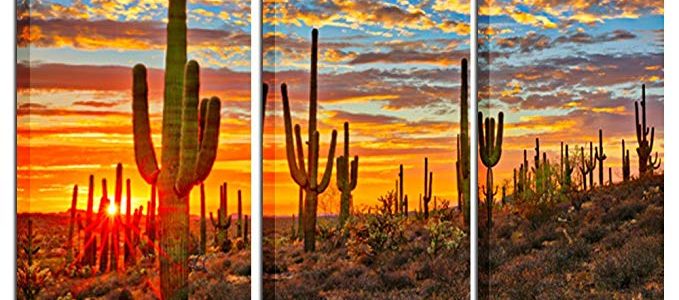 Kreative Arts – Large 3 Piece Canvas Wall Art Beautiful Sunset Landscape of National Park Arizona Sonoran Desert Cactus Pictures Stretched and Framed Ready to Hang for Home Office Decor 16x32inchx3pcs Review