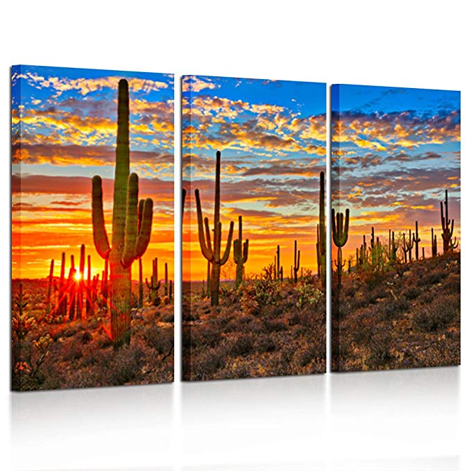 Kreative Arts - Large 3 Piece Canvas Wall Art Beautiful Sunset Landscape of National Park Arizona Sonoran Desert Cactus Pictures Stretched and Framed Ready to Hang for Home Office Decor 16x32inchx3pcs