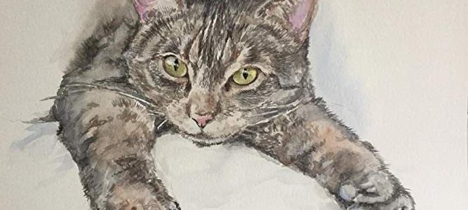 Custom pet portrait from your photo, 9×12 cat or dog portrait Review