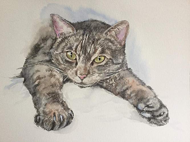 Custom pet portrait from your photo, 9x12 cat or dog portrait