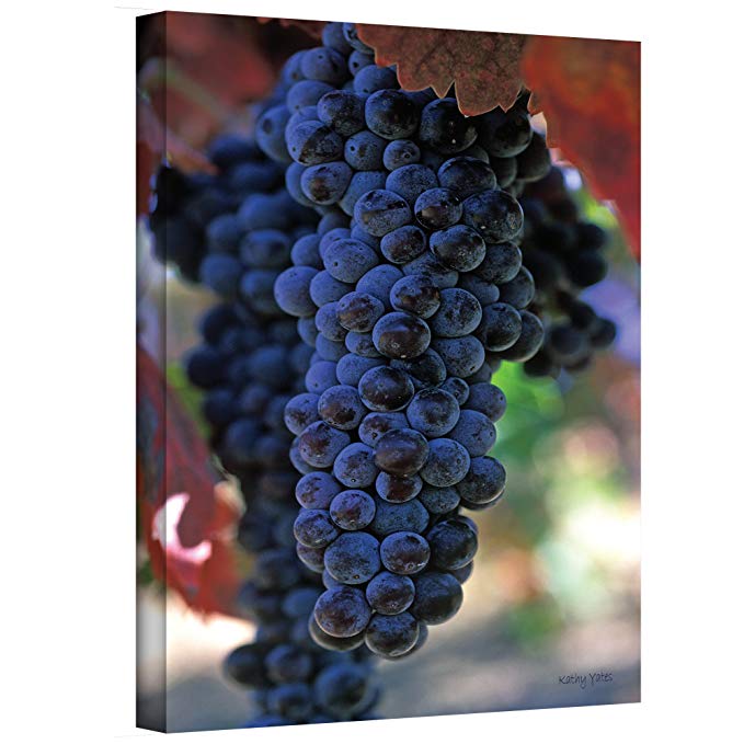 ArtWall On The Vine Gallery Wrapped Canvas by Kathy Yates, 24 by 36-Inch