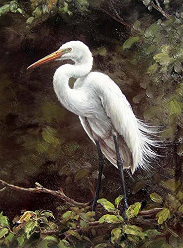 100% Hand Painted Canvas Oil Painting, White Bird Crane in Forest Oil Painting