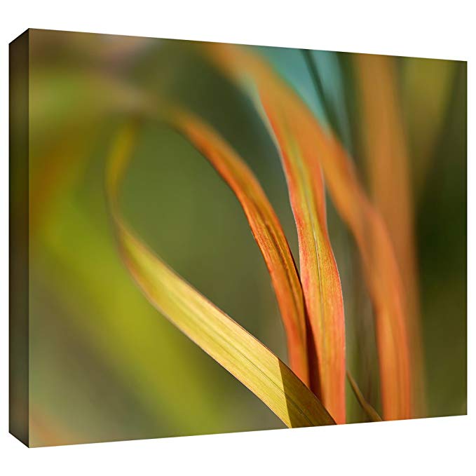 ArtWall Cora Niele 'Autumn Grass' Gallery Wrapped Canvas Artwork, 24 36-Inch