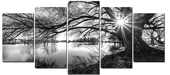 5 Panels Stretched and Framed Black and White Lake Wall Art Painting on Canvas Ready to Hang for Living Room Bedroom Office (30X50cmX2,30X65cmX2,30X80X1) Review