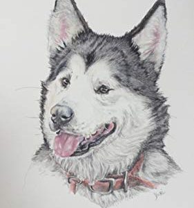 Custom pet portrait from your photo, 9×12 Review