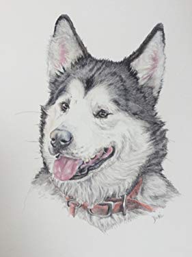 Custom pet portrait from your photo, 9x12