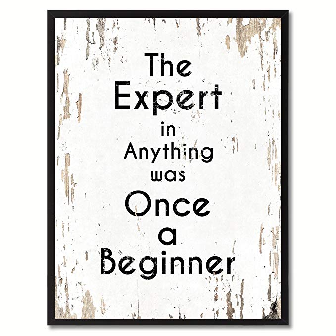 Spot Color Art the Expert in Anything Was Once a Beginner Framed Canvas Art, 22