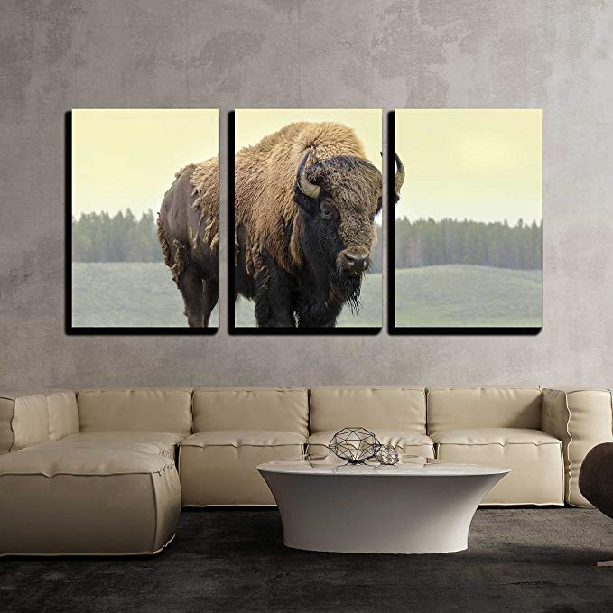 wall26 - 3 Piece Canvas Wall Art - Bison in Grasslands of Yellowstone National Park in Wyoming - Modern Home Decor Stretched and Framed Ready to Hang - 24