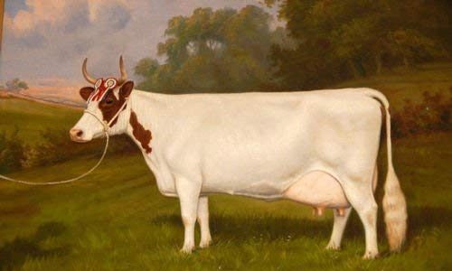 100% Hand Painted animal white cow in summer sunset landscape Canvas Oil Painting for Home Wall Art by Well Known Artist, Framed, Ready to Hang Review