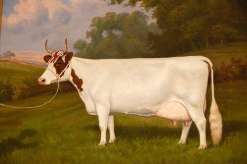 100% Hand Painted animal white cow in summer sunset landscape Canvas Oil Painting for Home Wall Art by Well Known Artist, Framed, Ready to Hang