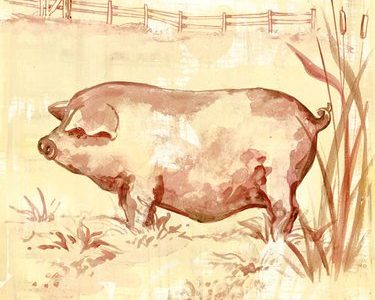 Oopsy Daisy Toile Piggy Stretched Canvas Wall Art by Heather Gentile-collins, 18 by 24-Inch Review