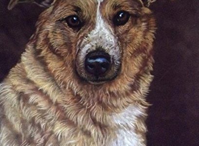 11 x 14 Pet Portrait Custom Dog Artwork by Frankie Paquin Review