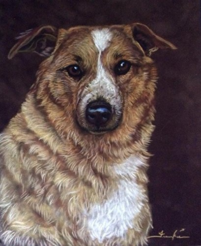 11 x 14 Pet Portrait Custom Dog Artwork by Frankie Paquin