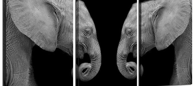 Sea Charm Black and White Elephant Picture on Canvas Modern Home Decor Animal Canvas Wall Art Elephant Painting for Wall Stretched and Framed Ready to Hang Review