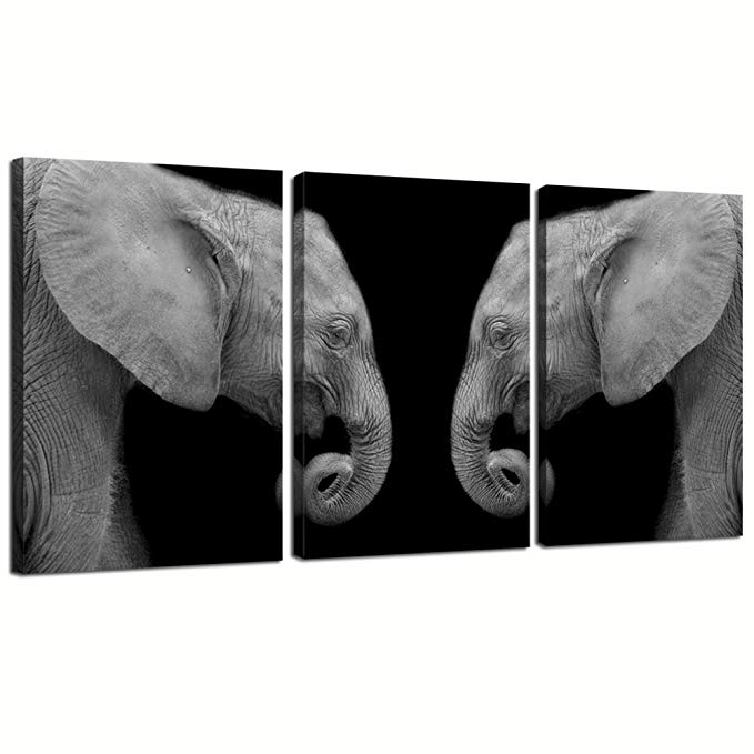 Sea Charm Black and White Elephant Picture on Canvas Modern Home Decor Animal Canvas Wall Art Elephant Painting for Wall Stretched and Framed Ready to Hang