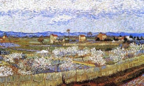 Art Oyster Vincent Van Gogh La Crau with Peach Trees in Bloom – 20.1″ x 25.1″ 100% Hand Painted Oil Painting Reproduction Review