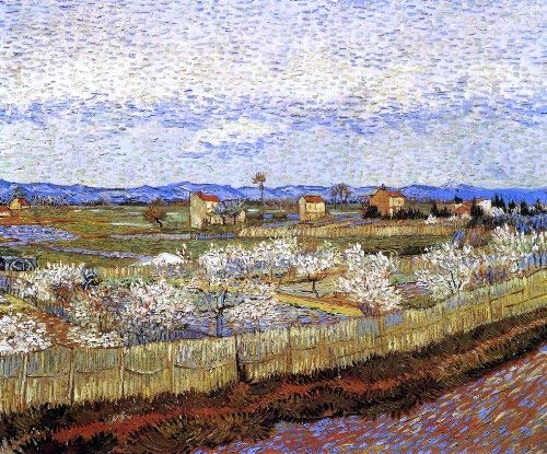 Art Oyster Vincent Van Gogh La Crau with Peach Trees in Bloom - 20.1