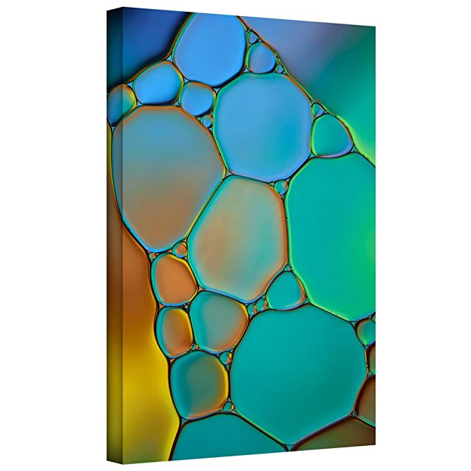 ArtWall Cora Niele 'Connected II' Gallery Wrapped Canvas Artwork, 24 by 36-Inch