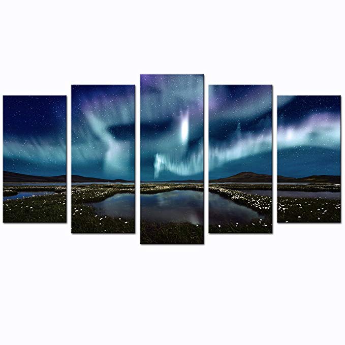 Sea Charm - 5 Panel Wall Art Northern Lights over The Marsh Landscape Canvas Wall Art Aurora Borealis Artwork Framed Modern Home Living Room Decor