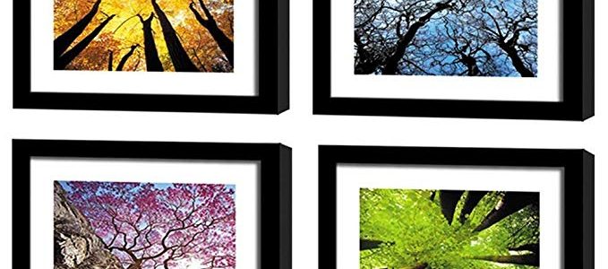 MOCO ART-Canvas Wall Art Painting Color Purple Trees Landscape Picture Prints on Canvas Artwork Framed Ready to Hang for Living Room Home Decor (Four Season Tree with Black Frame(30x30cmx4pcs)) Review