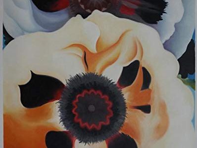 Eastpainting Hand-painted Modern art Flower Oil Painting ” Poppies ” By Georgia O’keeffe Unframed Reproduction (20×24 Inches) Review