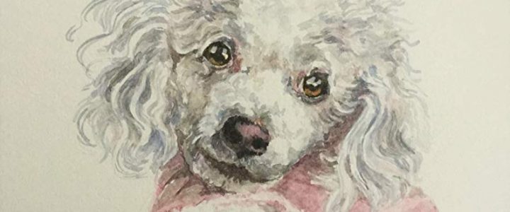 Dog, cat or bird portrait in watercolor, custom made from your photo Review