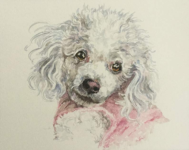 Dog, cat or bird portrait in watercolor, custom made from your photo