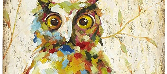 UAC WALL ARTS 100% Hand Painted Animal Oil Painting Colorful Owl Canvas Art with Stretched Frame on Canvas Wall Art for Home Decor Ready to Hang 32x32Inch,Quirky Owl Art Review